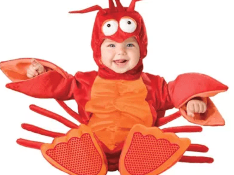 תחפושת לובסטר מצחיקה לתינוק לזיכרונות&nbsp;משעשעים